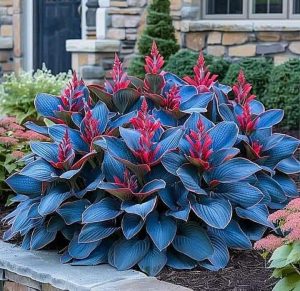 Хоста Грин Фог купить по цене от 669р. в интернет-магазине «Посадика» с доставкой почтой в в Бирске и по всей России – [изображение №1].