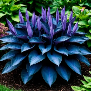 Хоста Сикрет Гров купить по цене от 570р. в интернет-магазине «Посадика» с доставкой почтой в в Бирске и по всей России – [изображение №1].