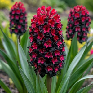 Гиацинт Джем Стоун купить по цене от 2099р. в интернет-магазине «Посадика» с доставкой почтой в в Бирске и по всей России – [изображение №1].