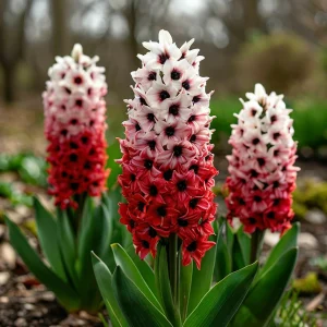 Гиацинт Скай Гарден купить по цене от 2099р. в интернет-магазине «Посадика» с доставкой почтой в в Бирске и по всей России – [изображение №1].